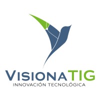Visionatig | Esri Partner