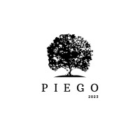 Piego logo - Similar company to Piego 