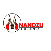 Nandzu Holdings (Pty) Ltd logo - Similar company to Kgosihadi Trading And Projects 37