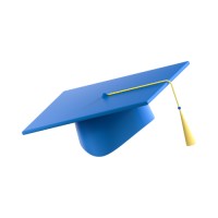 Navikonline logo - Similar company to Tenaciousdevs