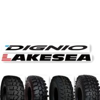 Qingdao Dignio tyre Co.,Ltd. logo - Similar company to Joyall Tires Co., Ltd