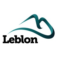 Leblon Consulting logo - Similar company to Vetti Media