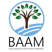 BAAM s.àr.l. logo - Similar company to Halzebatz Sarl
