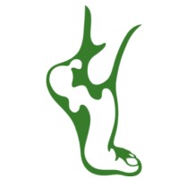 Advanced Foot And Ankle Care Centers logo - Similar company to Advanced Ankle & Foot