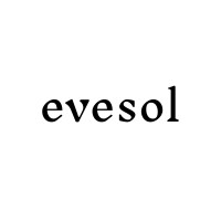 Evesol logo - Similar company to Pt Robicom Cipta Solusindo