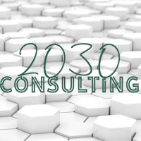 2030 Consulting logo - Similar company to Business Setting