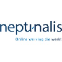 Neptunalis logo - Similar company to Datastorms