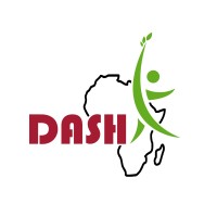 DASH logo - Similar company to Arise Nutrint