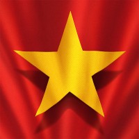 Vietnam: Asia's Rising Star logo - Similar company to Fulbrightx