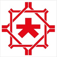 Style Team Lighting logo - Similar company to Power Promaint