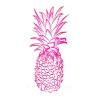 Pineapple Hospitality, India logo - Similar company to Opera Foods