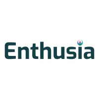 Enthusia Softech logo - Similar company to Ridiscovery