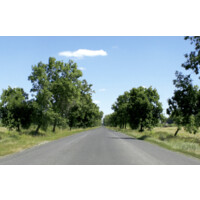 GoCarShare logo - Similar company to Into - Into.So