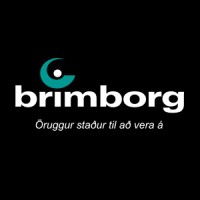 Brimborg logo - Similar company to Bl Ehf.