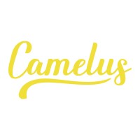 Camelus logo - Similar company to Dums Sistemas Inteligentes