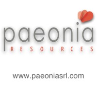 Paeonia Resources s.r.l. logo - Similar company to Ripa Della Volta Srl