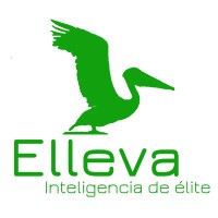Elleva Mx logo - Similar company to Intellego Bi