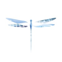 LIBELLULE logo - Similar company to Ooeo As
