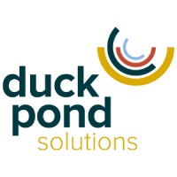 Duck Pond Solutions logo - Similar company to Virtus Security S.R.O.