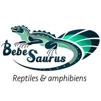 BEBESAURUS logo - Similar company to La Ferme Tropicale