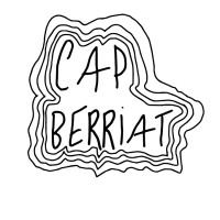 Cap Berriat logo - Similar company to L'Ampérage