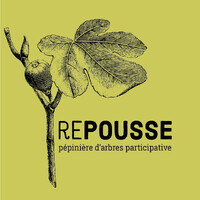 Repousse logo - Similar company to Spmo