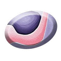 MONETAIRE ACCOUNTANTS logo - Similar company to Sharp Bookkeeping Ltd