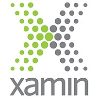 Xamin logo - Similar company to Mowery & Schoenfeld