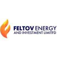 Feltov Energy and Investment Limited logo - Similar company to Jbis Integrated Resources Limited
