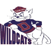 Deming Public Schools logo - Similar company to Salem School District