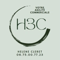 SAS H3C logo - Similar company to Network Mdpi