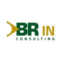 BR IN Consulting logo - Similar company to Mirra