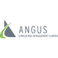 Angus Consulting Management Limited logo - Similar company to Angus Systems
