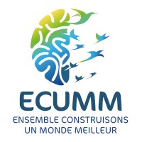 Ecumm Coaching Facilitation Formation