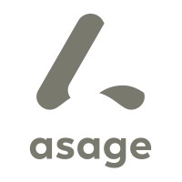 asage Retail Consulting Group logo - Similar company to Massive Software