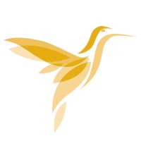 Prowgress logo - Similar company to Left Foot Forward