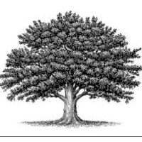 Oak Investment