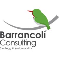 Barrancoli Consulting SRL logo - Similar company to Go Ahead Strategies