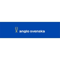 Anglo Svenska Motorsport Marketing Limited logo - Similar company to Exellior