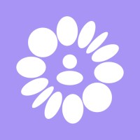 SoloWise logo - Similar company to Cauld & Clark Information Technology Solutions