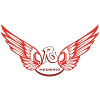 Redwing Management Facilitators Pvt. Ltd. logo - Similar company to Aadish Consultancy