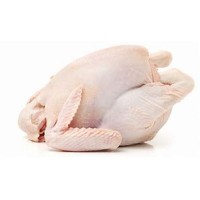 North South Foods Group, Inc. logo - Similar company to Itm Partners