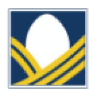 Nest Financial Services