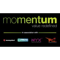 Momentum Enterprise Solutions logo - Similar company to Merge It