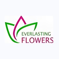 Everlasting Flowers Österreich logo - Similar company to Wildes Moos