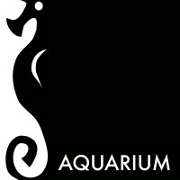 Aquarium Studios logo - Similar company to Tech Iela