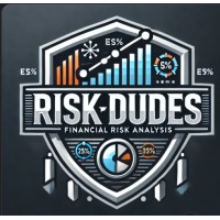 Risk Dudes logo - Similar company to Databank Academy