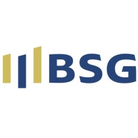 BSG Advisory logo - Similar company to Anagram D.O.O. Sarajevo