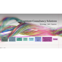 Cognisant Consultancy Solutions Ltd logo - Similar company to Vip360 Payments