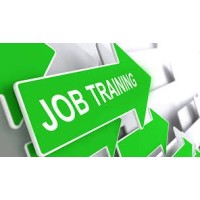 JOB TRAINING & PLACEMENT IN DELHI logo - Similar company to Office Work